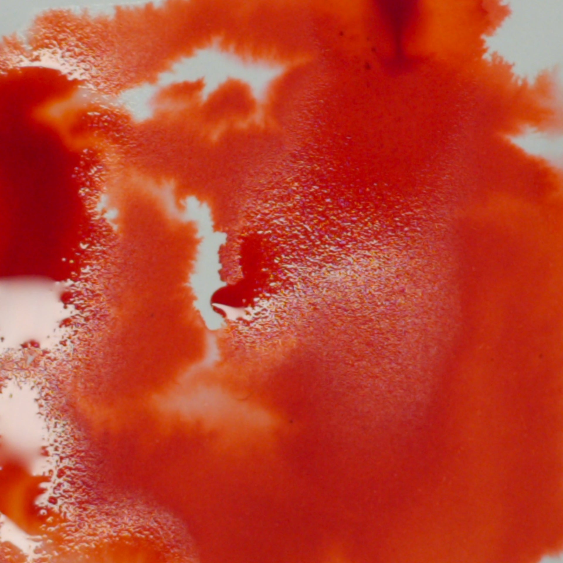 Zita Inks | Fountain Pen Ink | Fine Writing