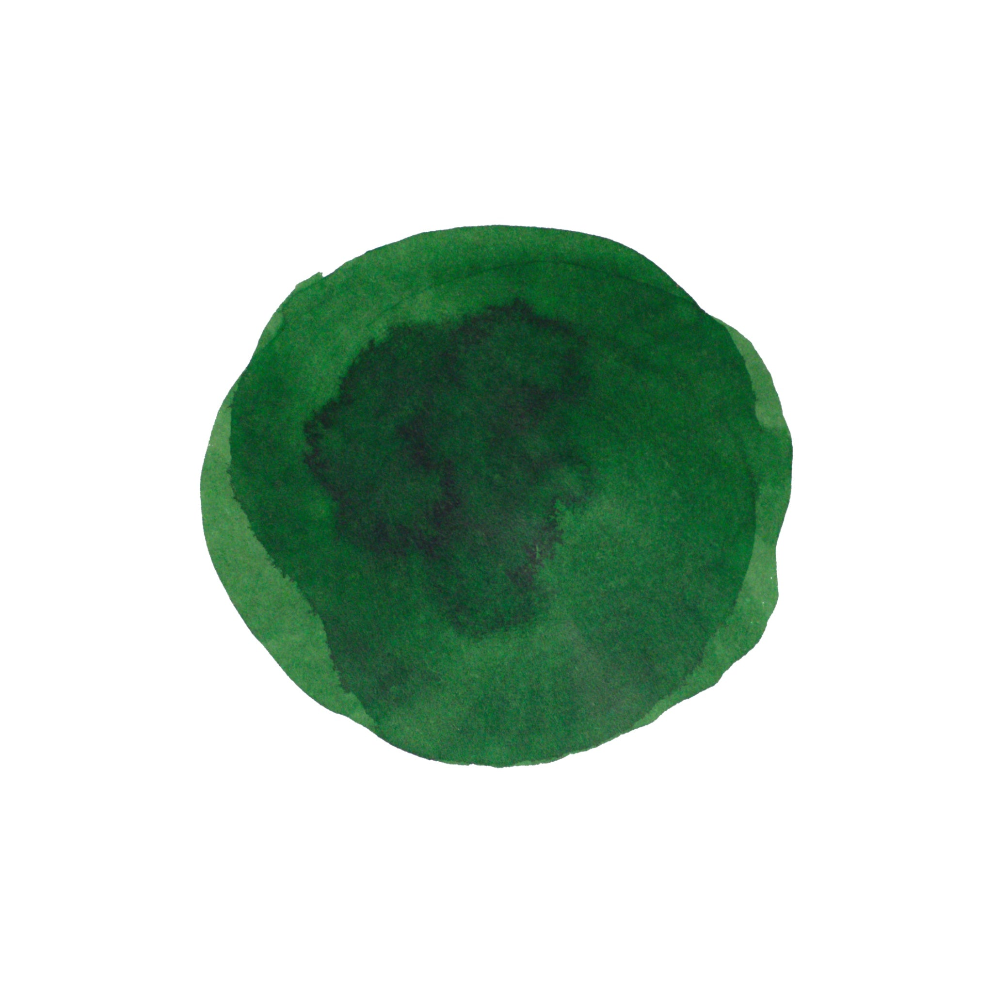 Diamine Forever Ink - Permanent Pigment Ink 50ml - Amazonia