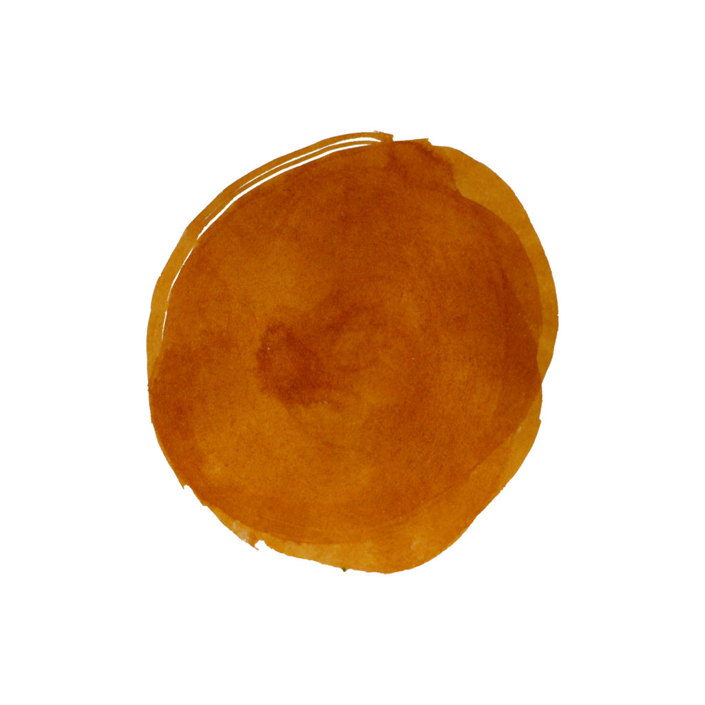 Diamine Forever Ink - Permanent Pigment Ink 50ml - Butterscotch