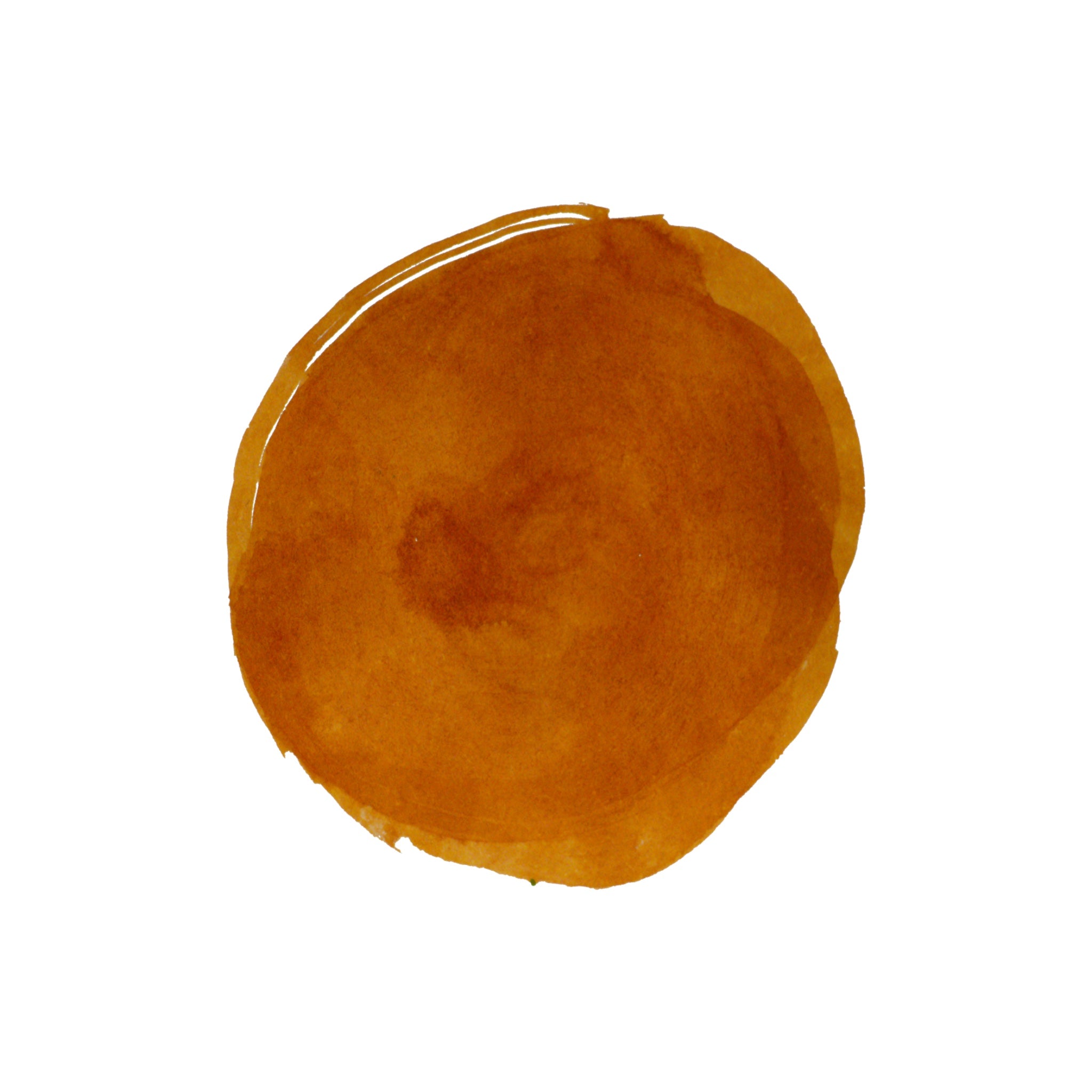 Diamine Forever Ink - Permanent Pigment Ink 50ml - Butterscotch