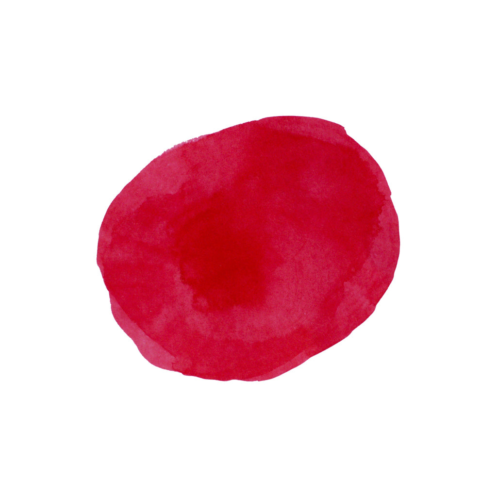 Diamine Forever Ink - Permanent Pigment Ink 50ml - Cherry Red