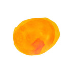 Diamine Forever Ink - Permanent Pigment Ink 50ml - Honey Pot