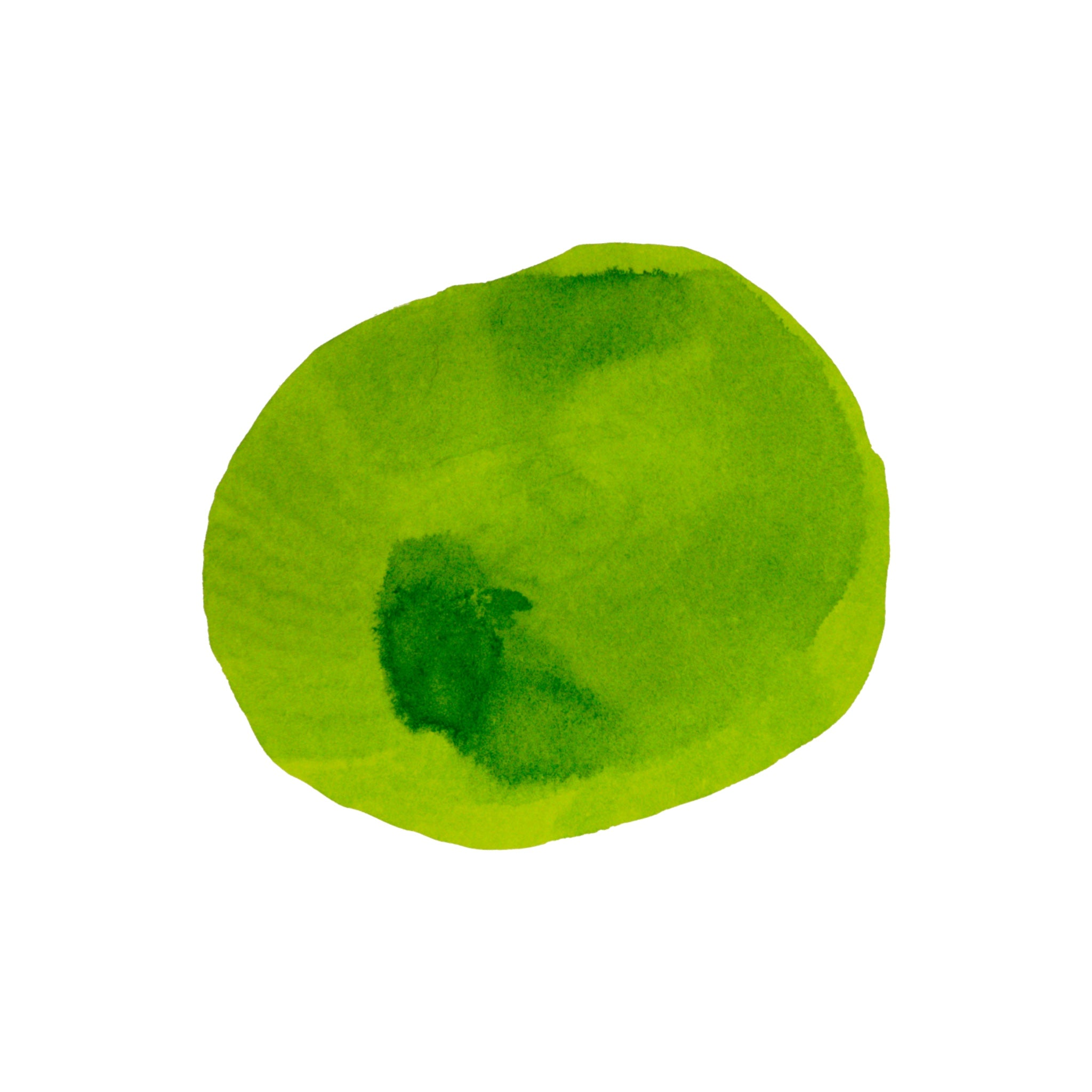 Diamine Forever Ink - Permanent Pigment Ink 50ml - Hyper Green