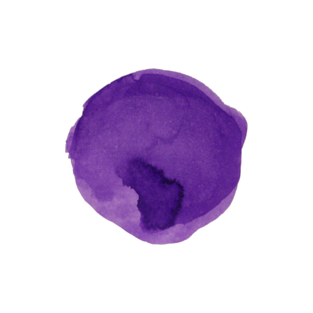 Diamine Forever Ink - Permanent Pigment Ink 50ml - Passion Flower