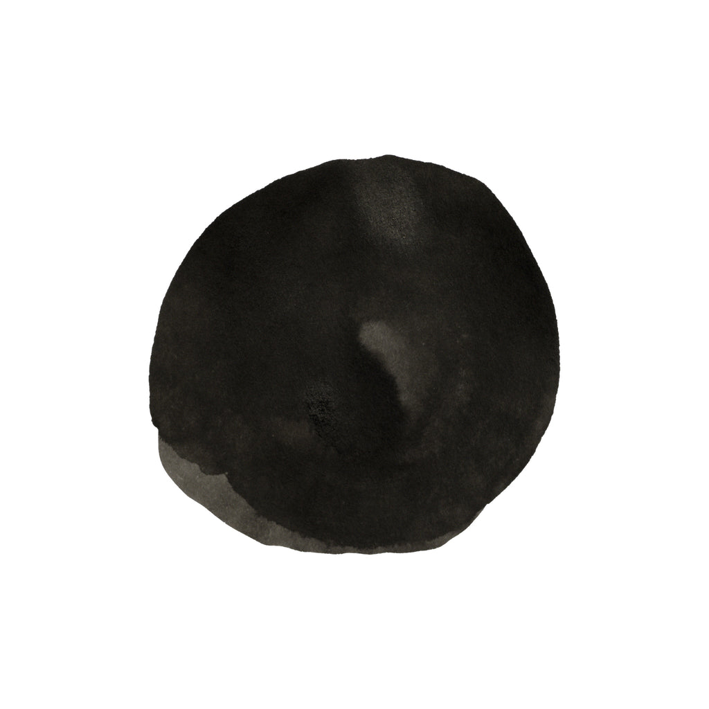 Diamine Forever Ink - Permanent Pigment Ink 50ml - Raven