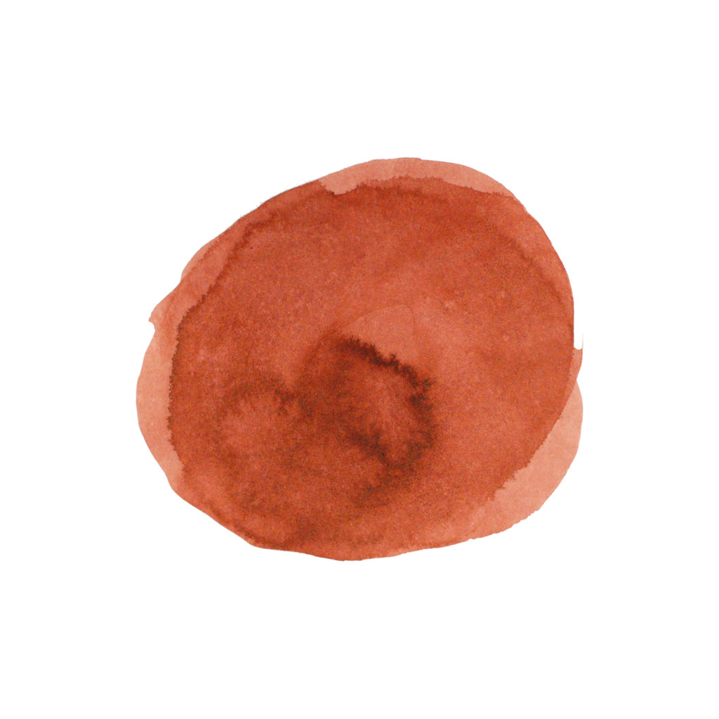 Diamine Forever Ink - Permanent Pigment Ink 50ml - Red Ochre