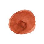 Diamine Forever Ink - Permanent Pigment Ink 50ml - Red Ochre