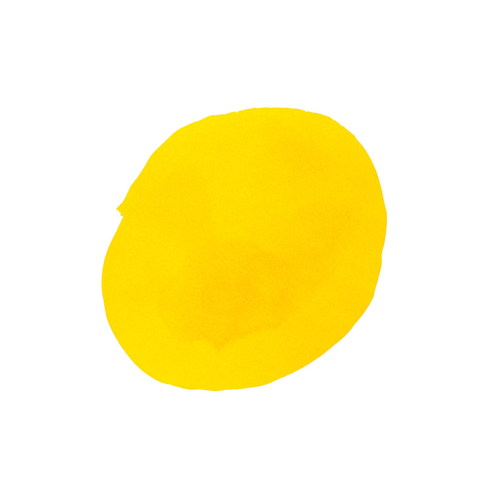 Diamine Forever Ink - Permanent Pigment Ink 50ml - Solar Yellow