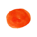 Diamine Forever Ink - Permanent Pigment Ink 50ml - Tiger Lily